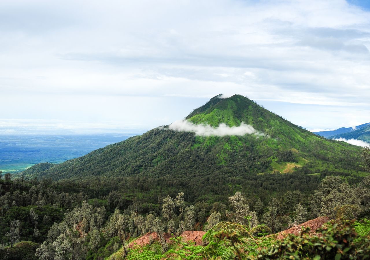 5D4N Jogja Selayang Pandang