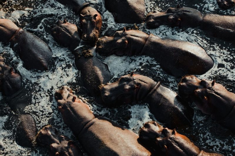 9D6N Tanzania Safari Adventure (Flights Included)