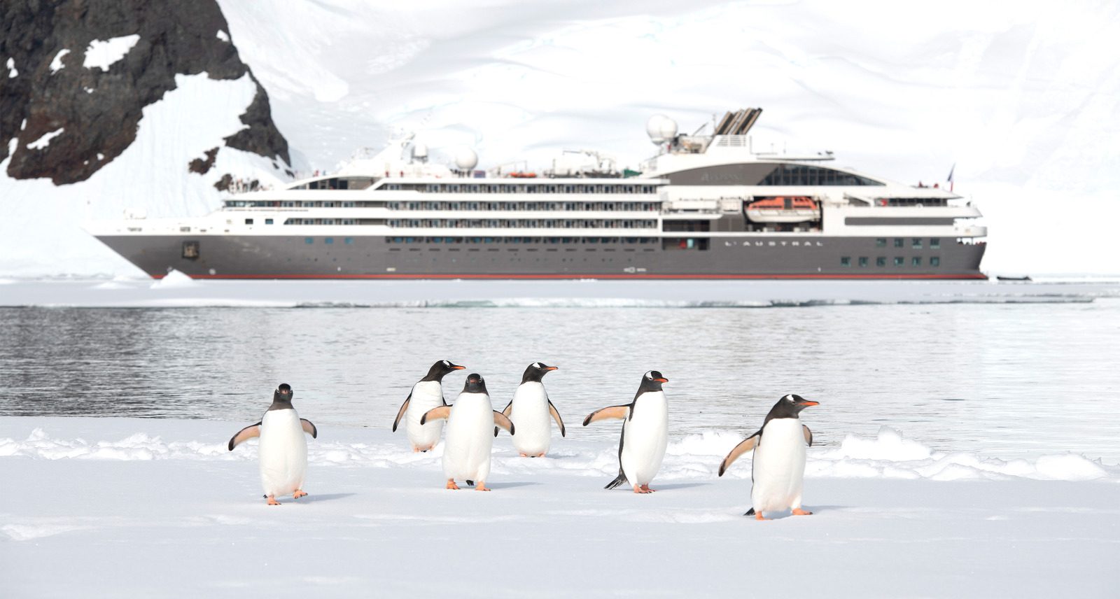 ANTARCTIQUE-Manchots Papous©StudioPonant-Sylavain ADENOT (1) (1)