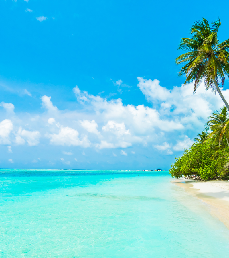 4D3N Maldives @ Hard Rock