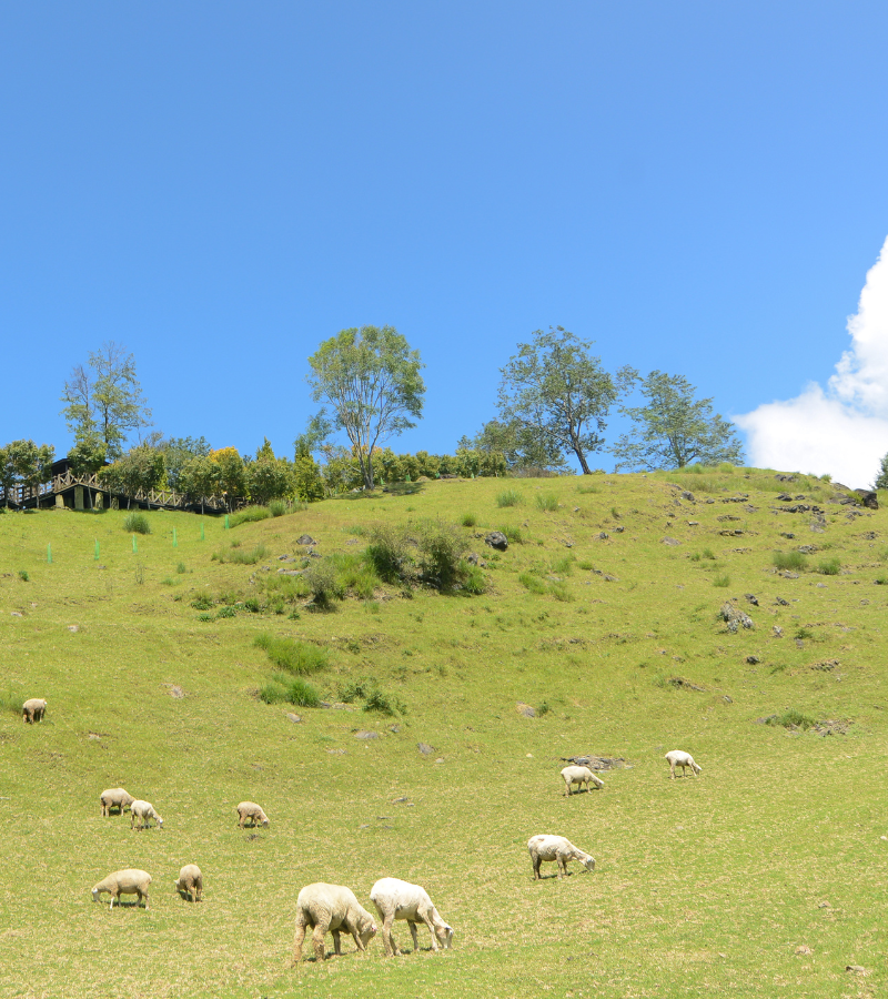 5D4N Picturesque Taiwan