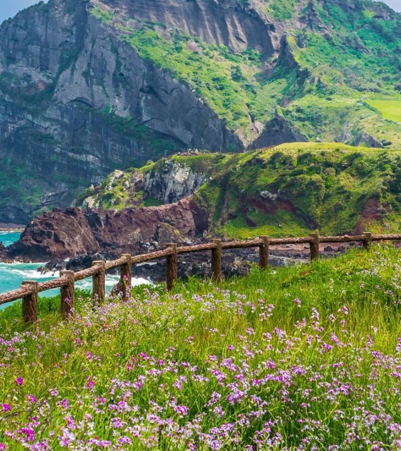 5D4N Savour of Jeju (Muslim)