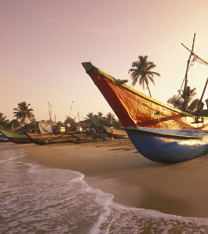 4D3N Discovery Sri Lanka