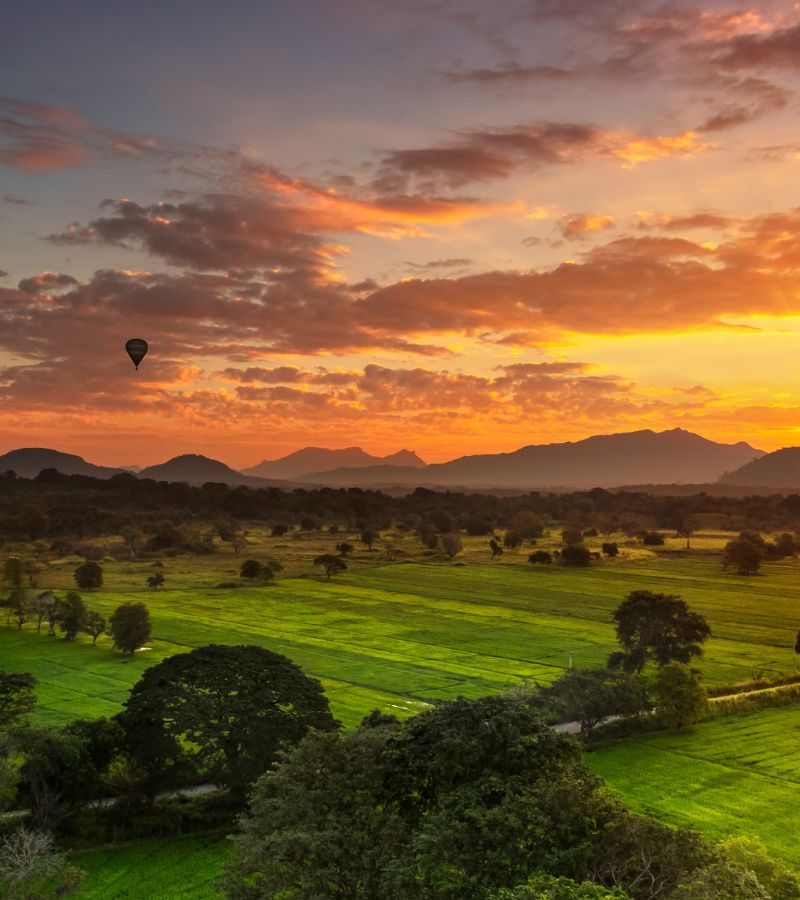 7D6N Amazing Sri Lanka