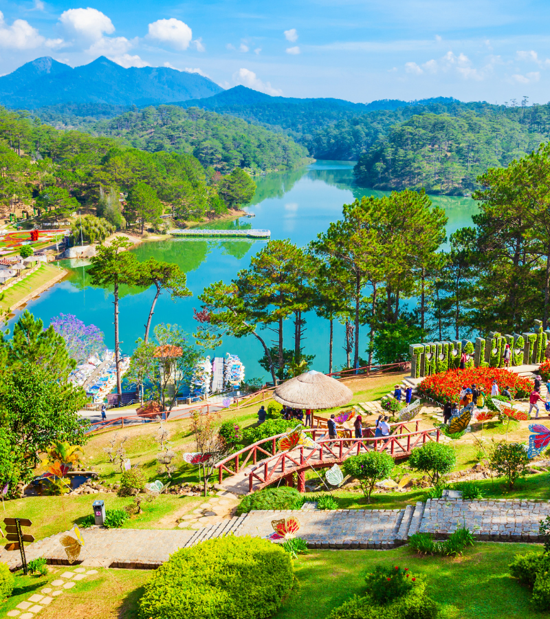 4D3N Discovery Dalat