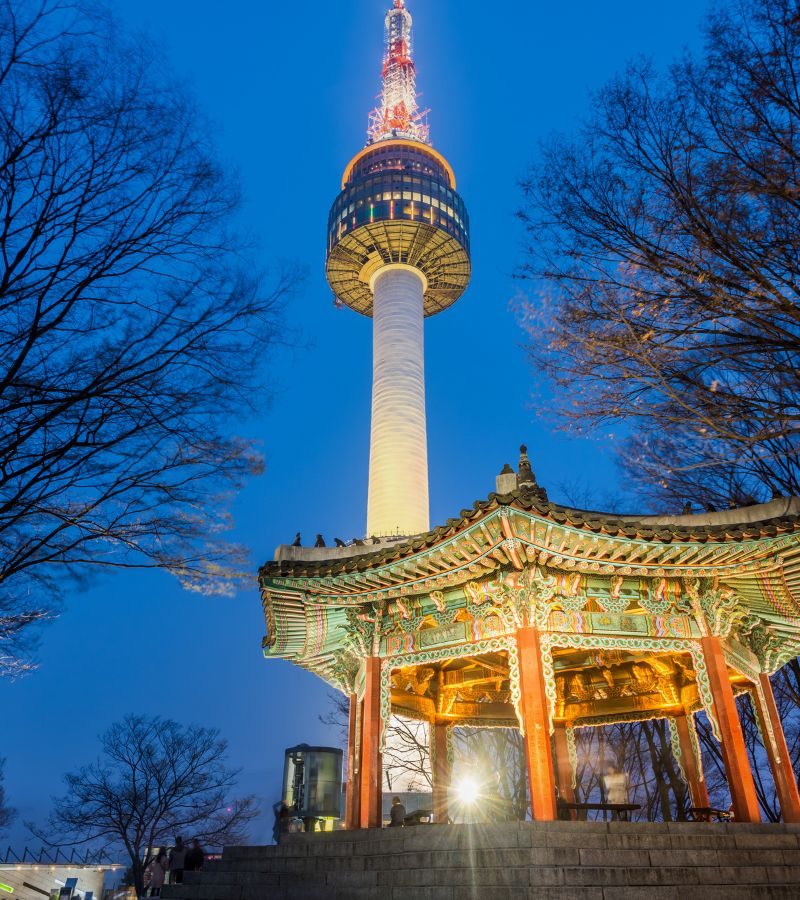 5D4N Delightful South Korea | Muslim