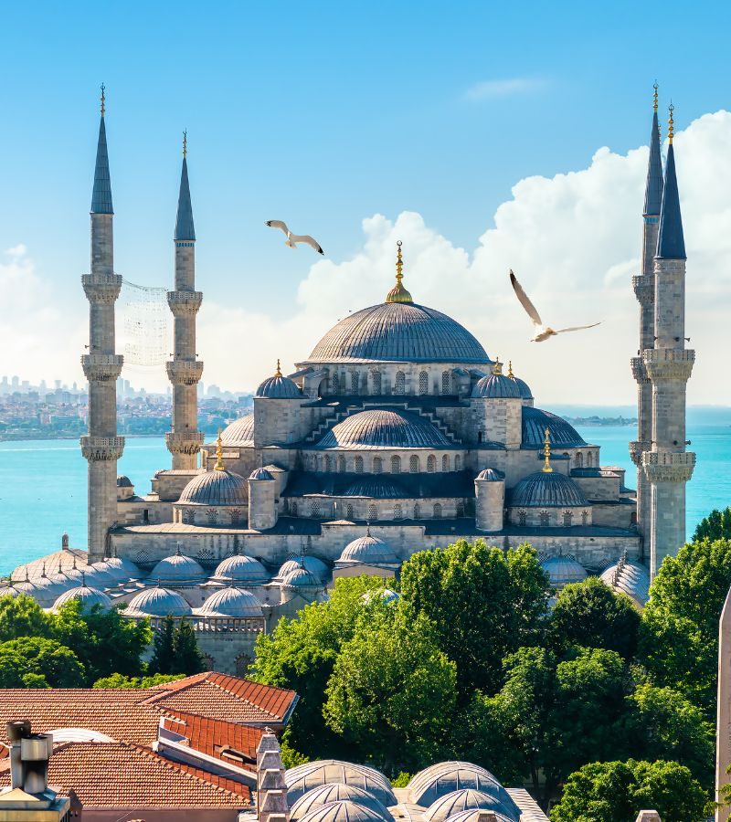 8D7N Turkey Explorer (Muslim)