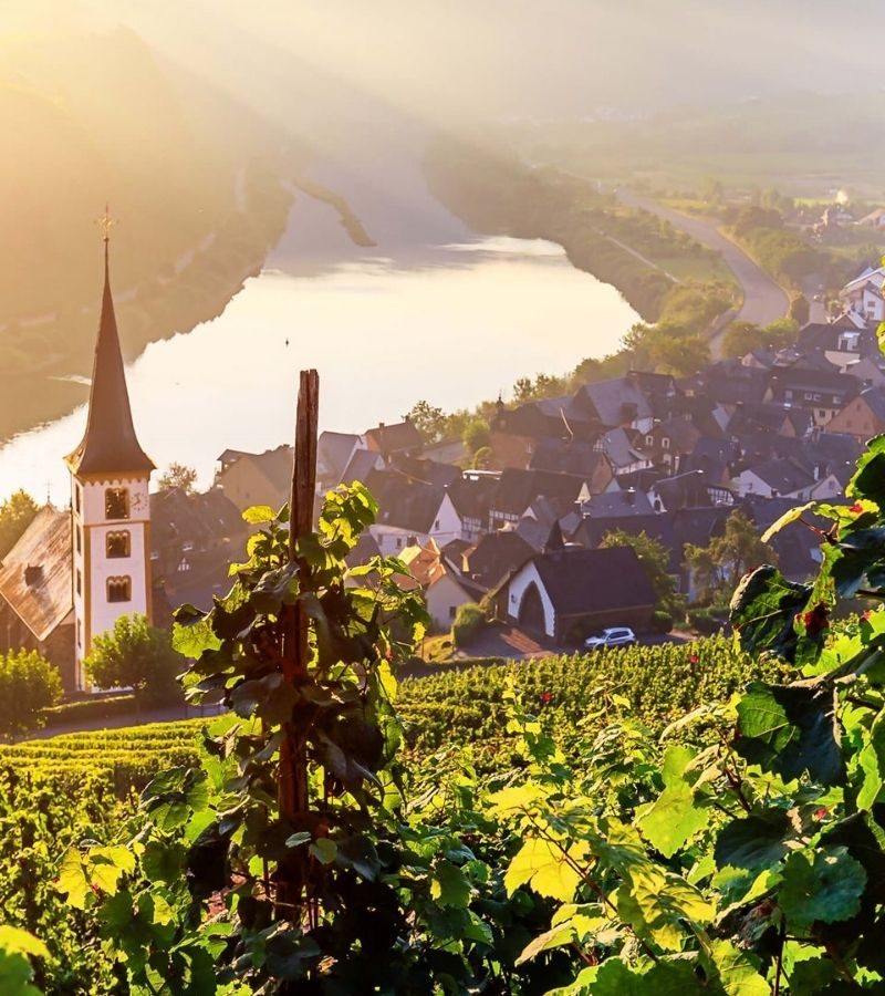 Avalon : 16D15N Magnificient Rivers of Europe (WBA)