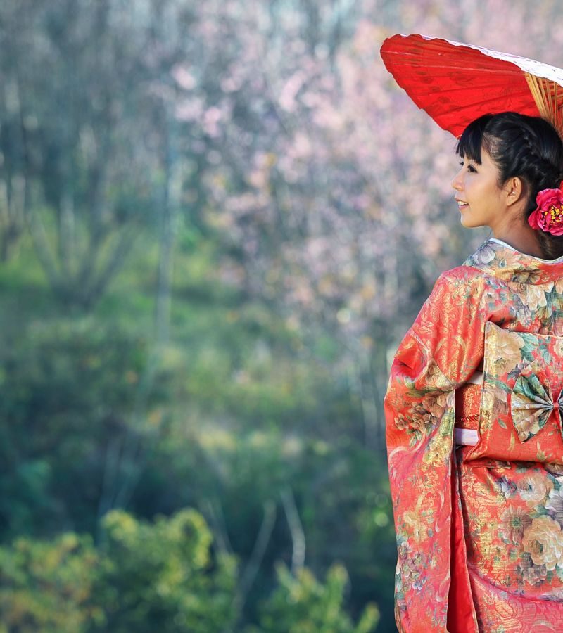 11D10N NatGeo Japan Family Journey: From Ancient to Modern Times (AJTNF)