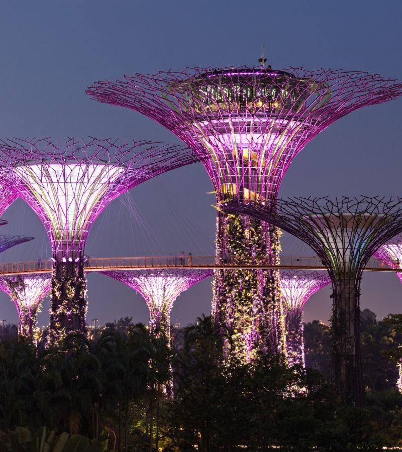 Gardens By The Bay Admission Ticket