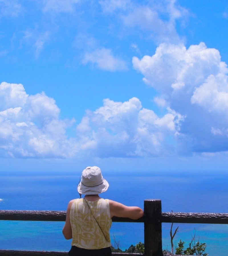 5D4N Astounding Okinawa