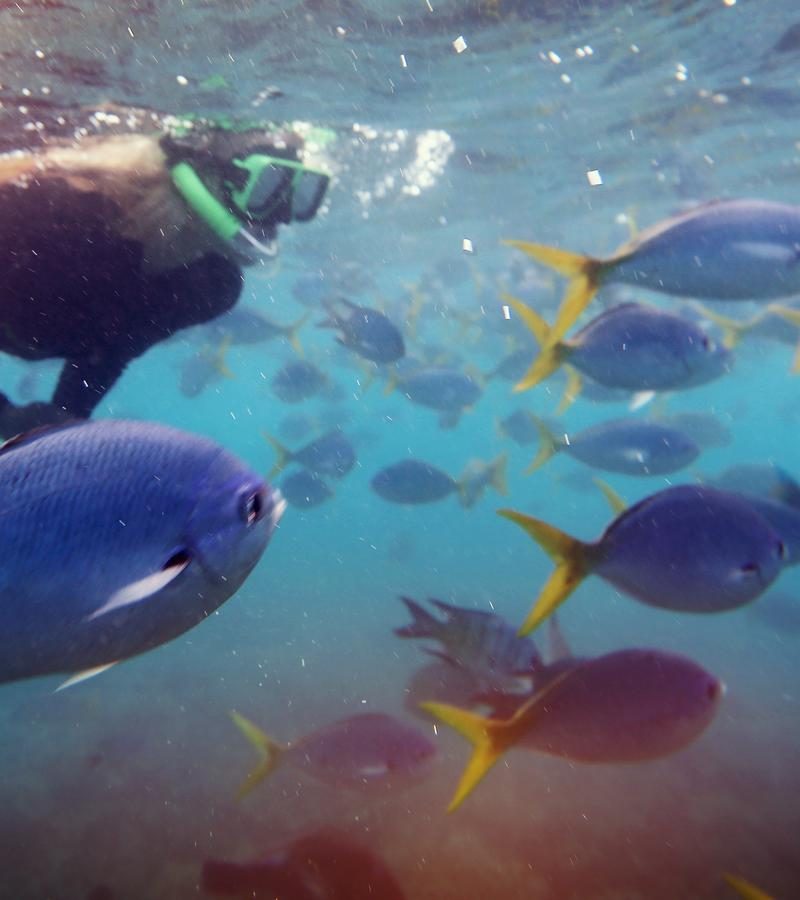 14D13N Best of Australia (OACS)