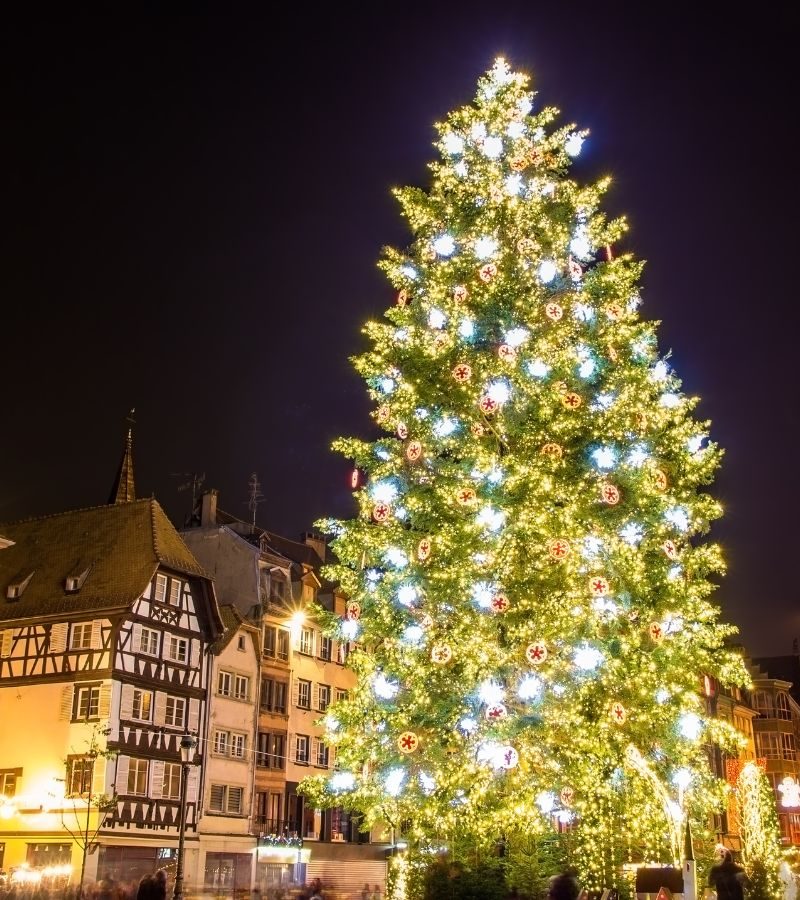 Avalon : 5D4N Christmastime on river cruise in Alsace and Germany (WFZ/WZF)