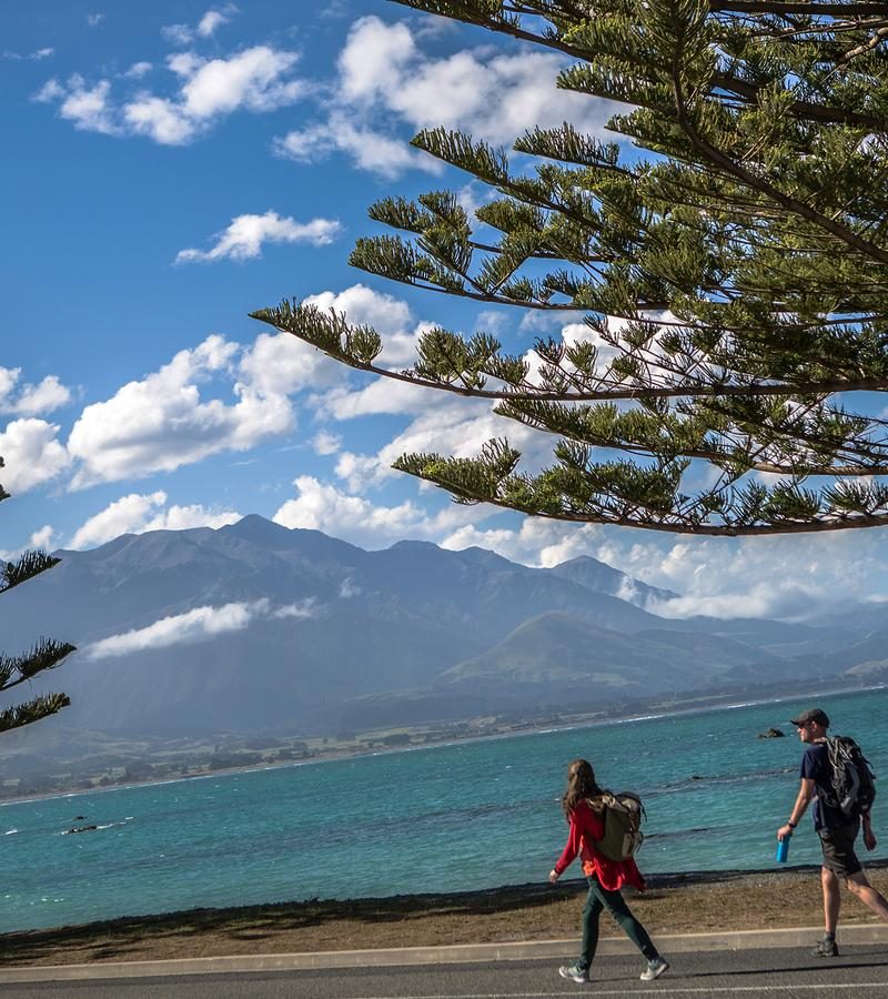 16D15N New Zealand: South Island Encompassed (ONSE)