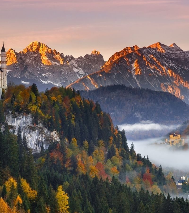 9D8N European Sampler (HD)