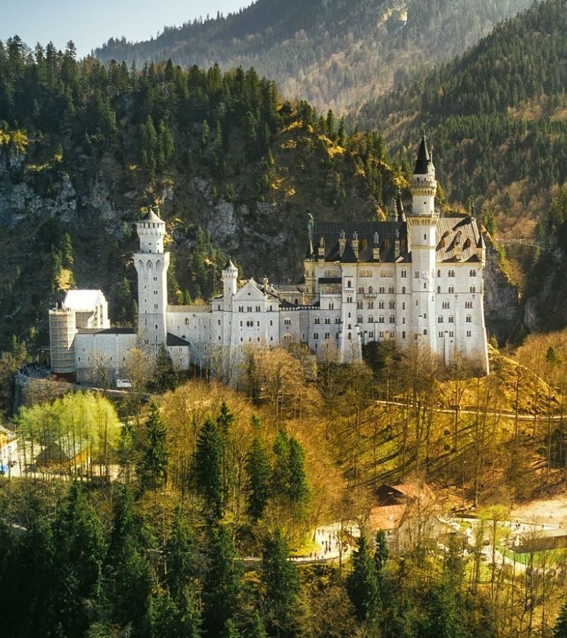 8D7N German Vista (ZB)