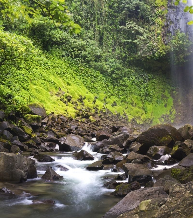 9D8N Natural Wonders of Costa Rica (SR)