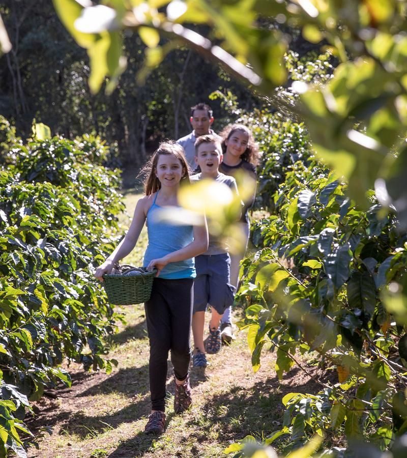 9D8N Costa Rica Family Journey: From Rainforest to Coast (CRSNF)