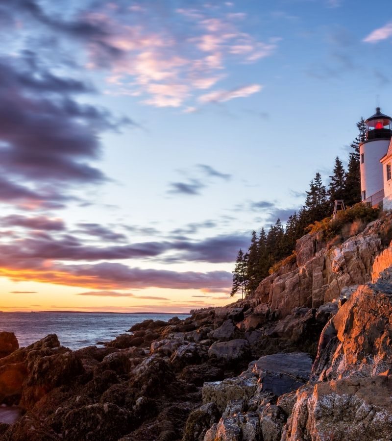 9D8N Classic New England (8100)