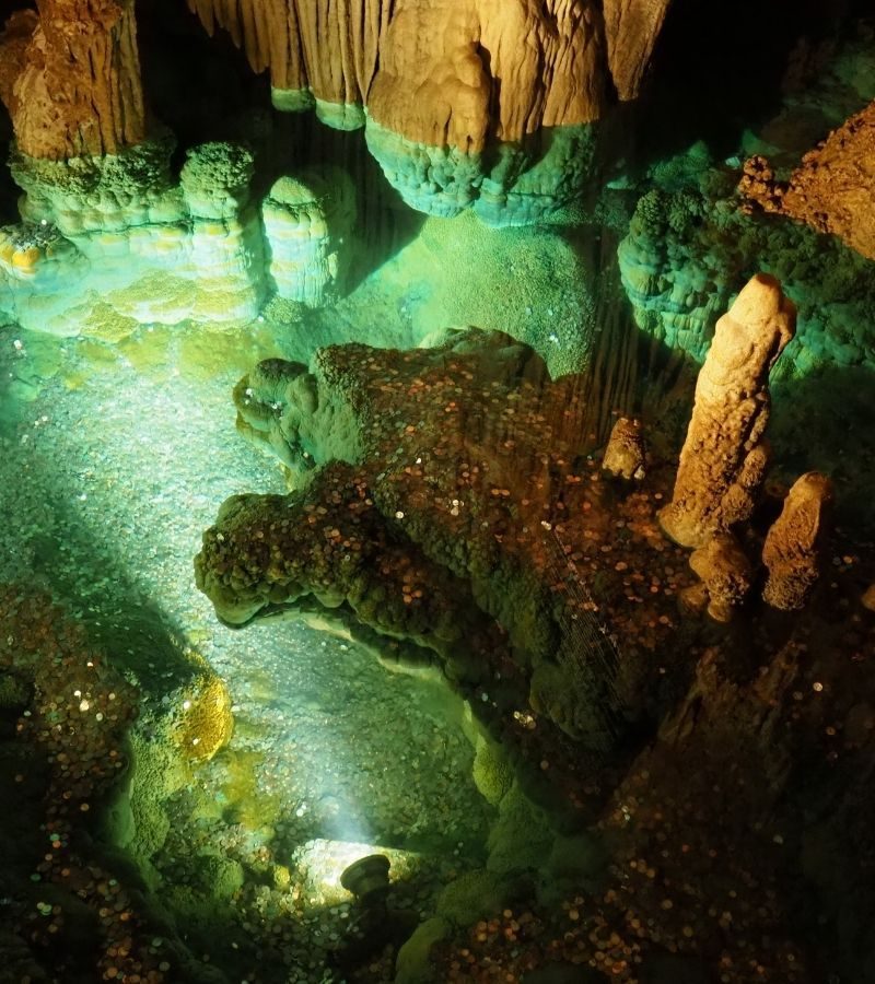 9D8N The Bold & the Brewtiful: Mid-Atlantic America By Design (F8C)