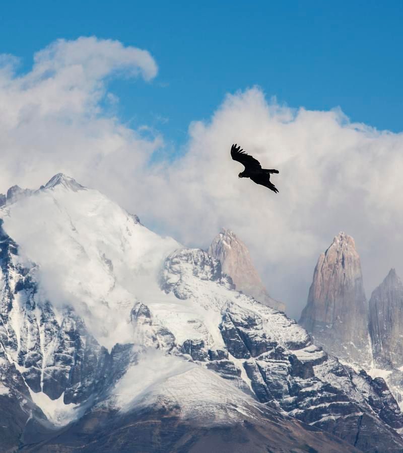 14D13N End of the Earth (SAPE)