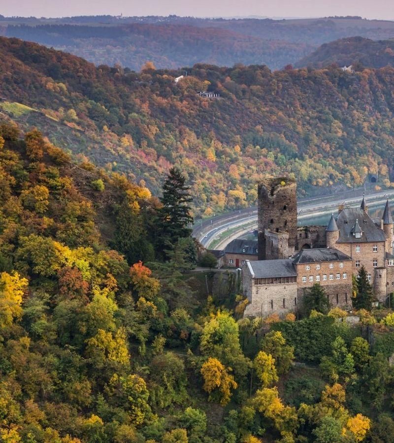 Avalon : 11D10N The Rhine & Moselle (WHZ/WZH)