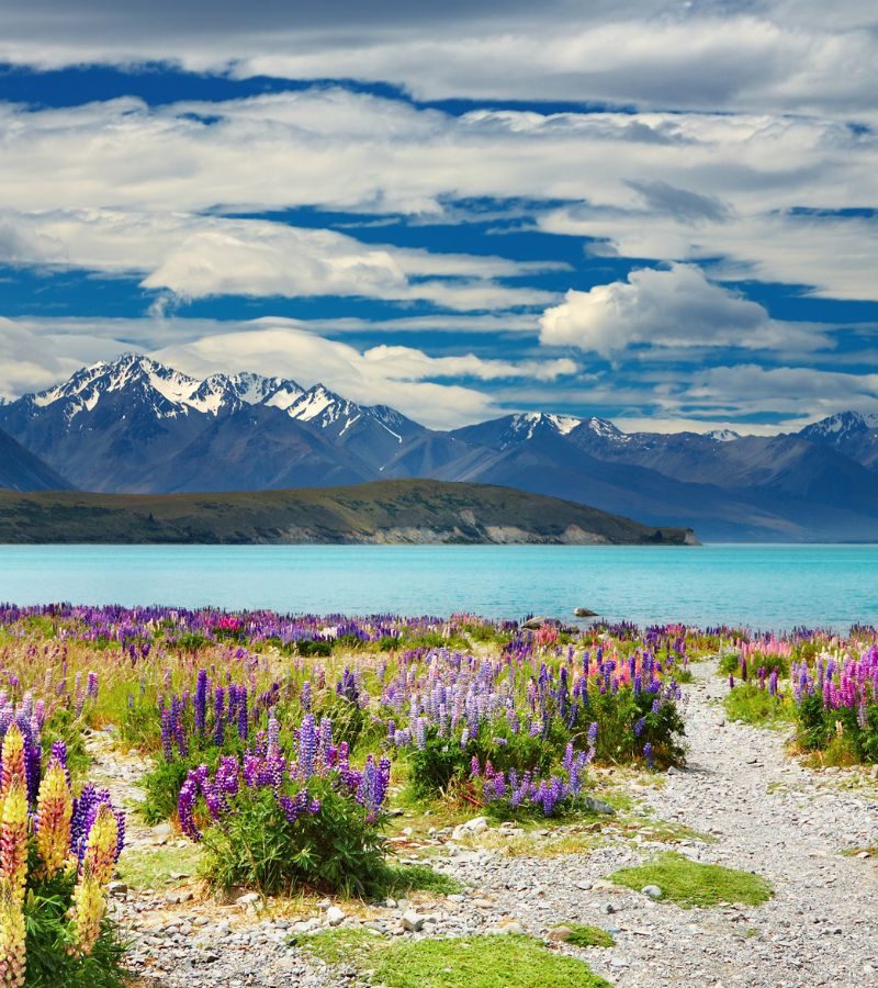 6D5N SOUTHERN SPLENDOUR (SELF-DRIVE)