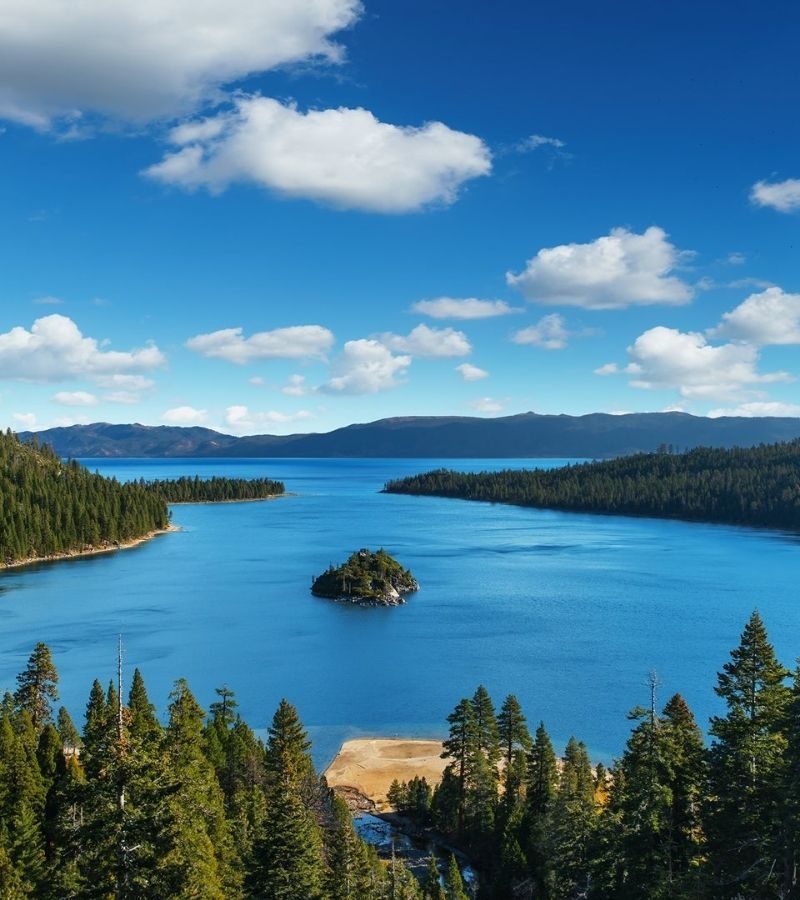 9D8N Northern California's Finest (AL)