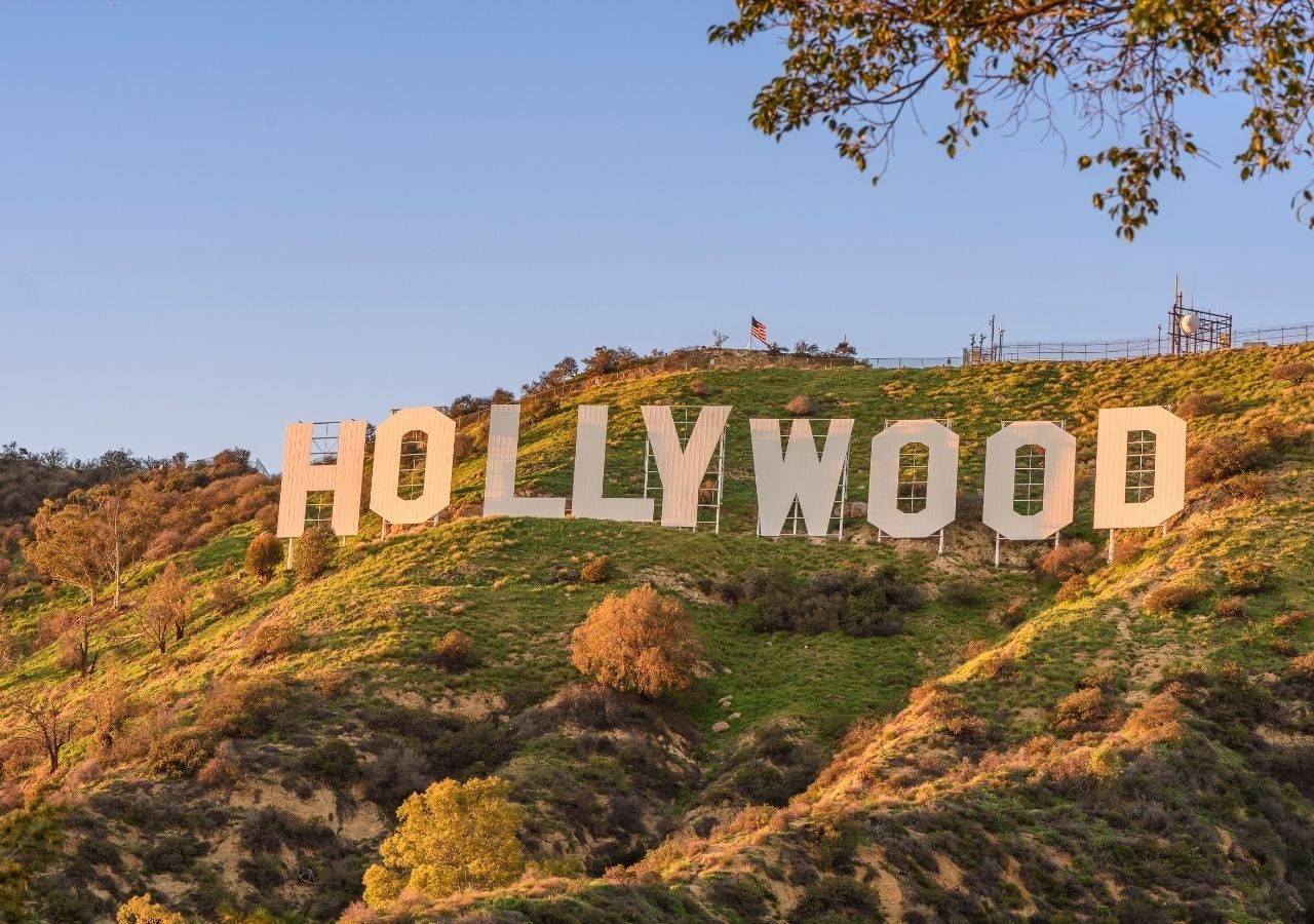 5D4N Hollywood Dreams