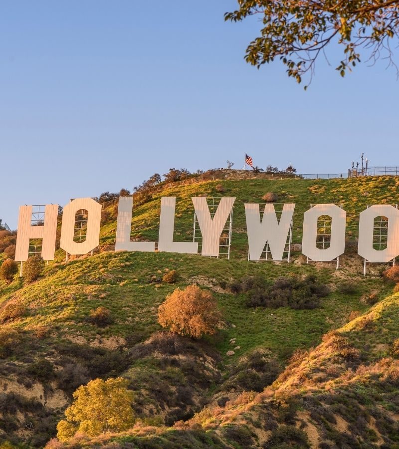 5D4N Hollywood Dreams