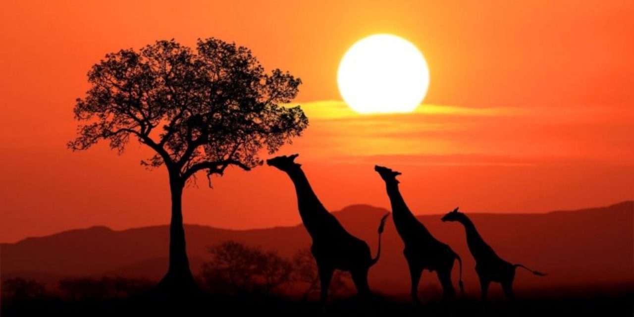 9D8N Discover South Africa