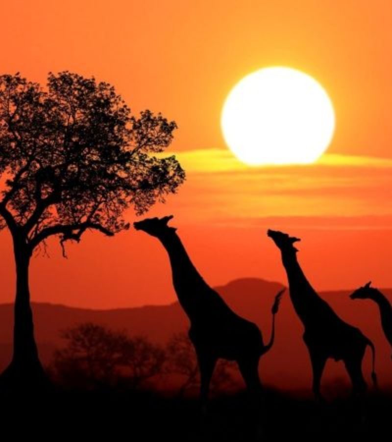 9D8N Discover South Africa