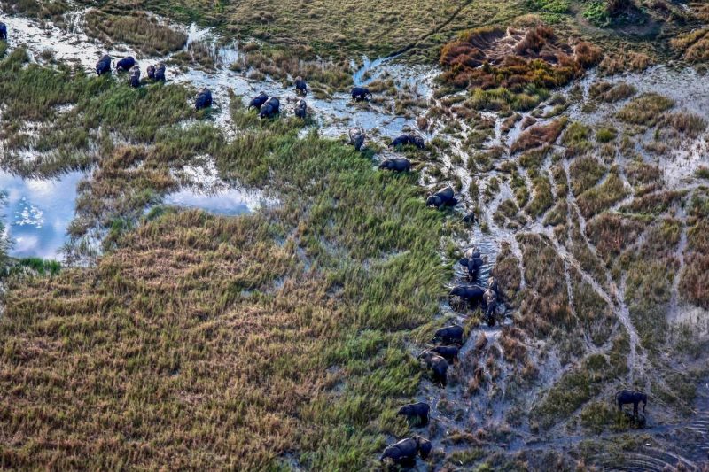 18D17N Southern Africa Safari Experience (DSSNG)