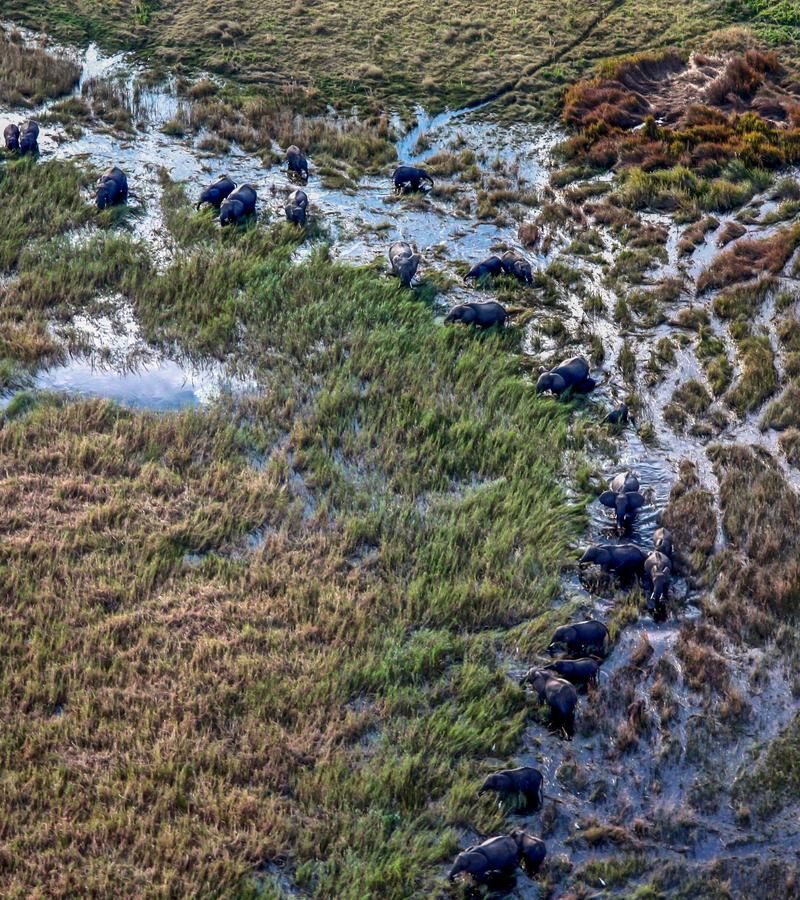 18D17N Southern Africa Safari Experience (DSSNG)