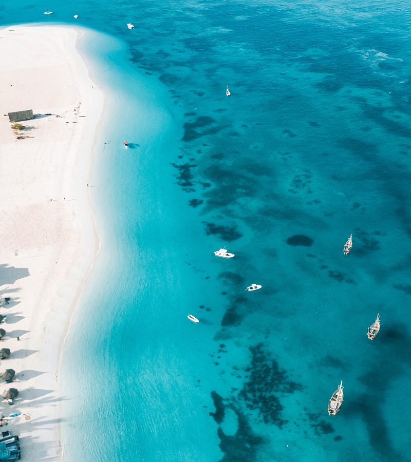 13D12N Classic Serengeti & Zanzibar (DKWZ)