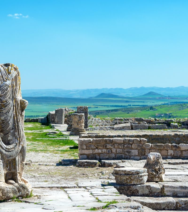 9D8N Discovery of Tunisia