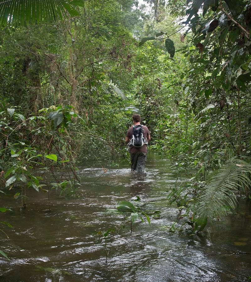 14D13N Inland & Amazon (SEIA)