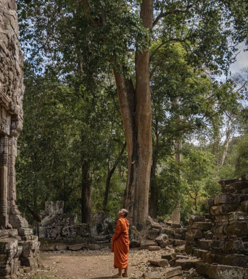 4D3N AMANSARA Road To Angkor