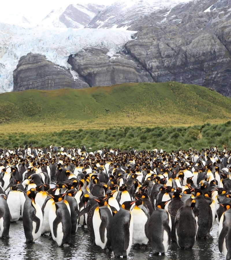 Ponant : 16D15N The Great Adventure